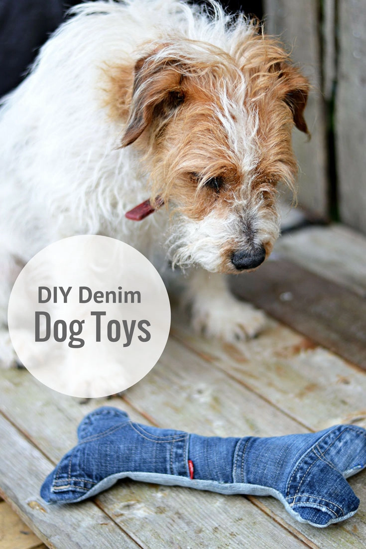 DIY Dog Toys Made From Everyday Objects 